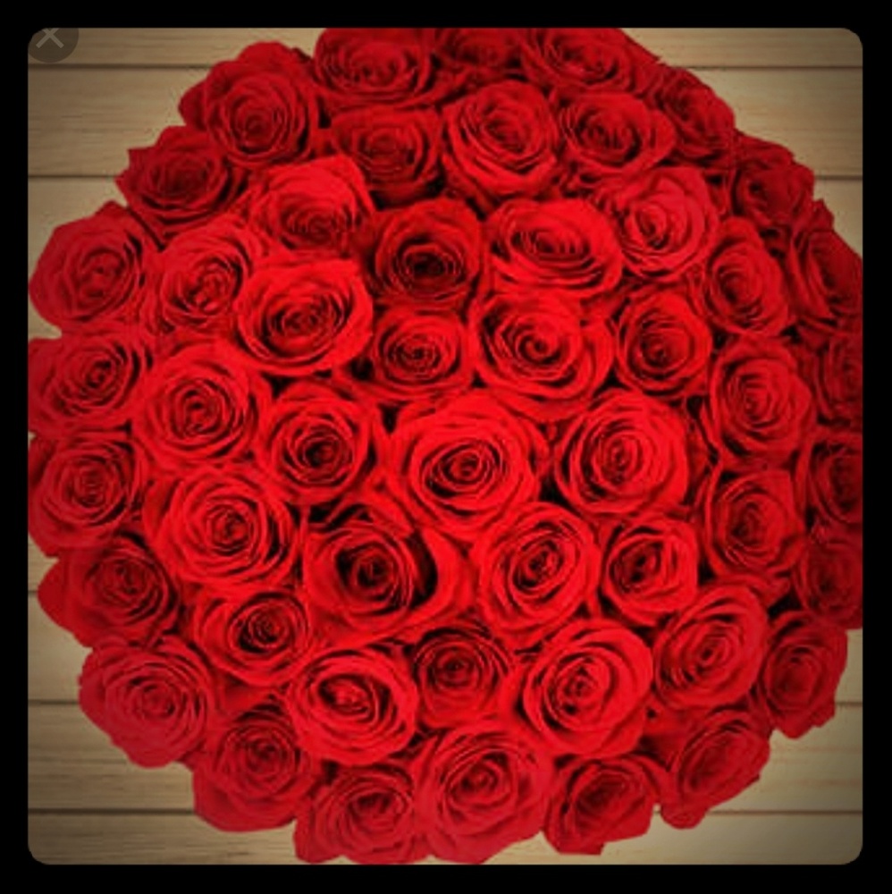 Meet your Posher, Hadeel